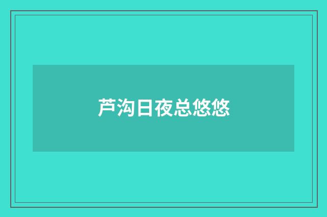 芦沟日夜总悠悠