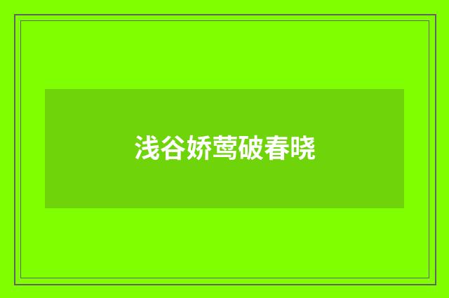 浅谷娇莺破春晓