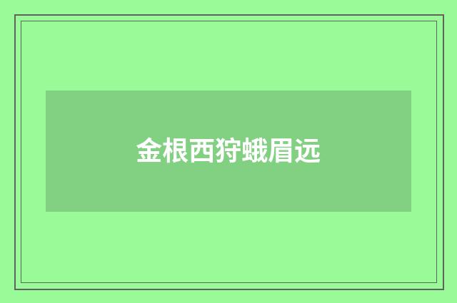 金根西狩蛾眉远