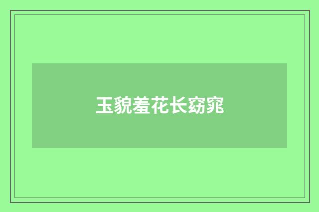 玉貌羞花长窈窕
