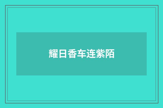 耀日香车连紫陌