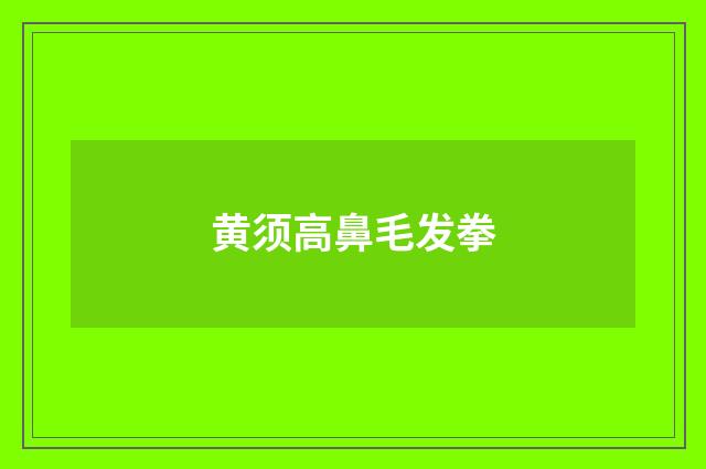 黄须高鼻毛发拳