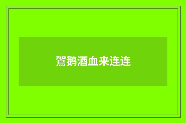 鴐鹅酒血来连连
