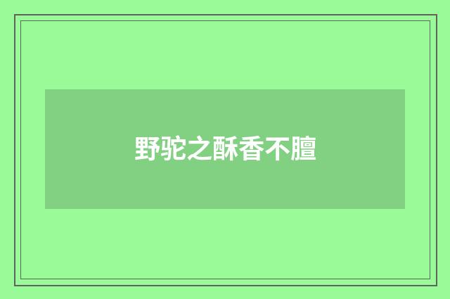 野驼之酥香不膻