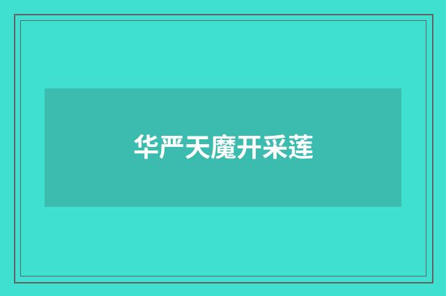 华严天魔开采莲