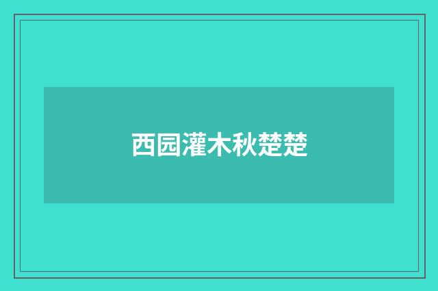 西园灌木秋楚楚