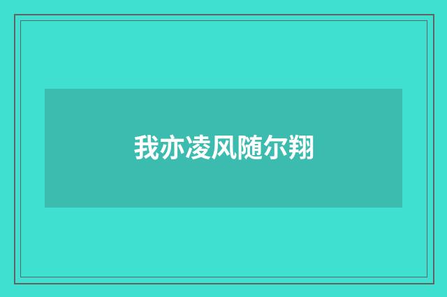 我亦凌风随尔翔