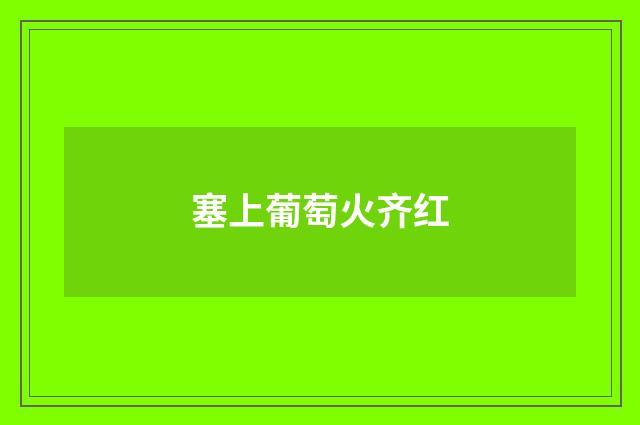 塞上葡萄火齐红