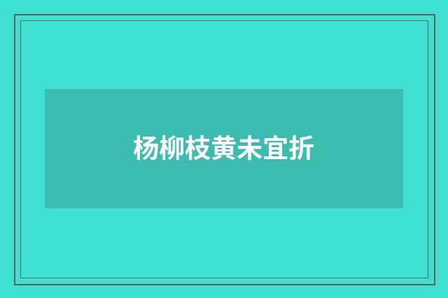 杨柳枝黄未宜折