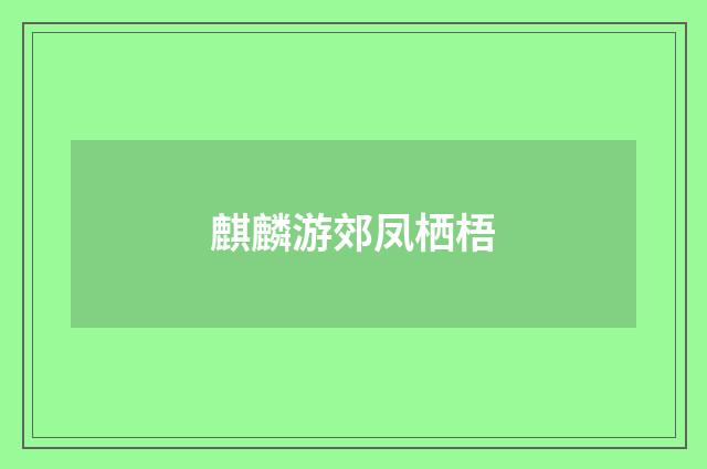 麒麟游郊凤栖梧