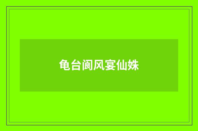 龟台阆风宴仙姝