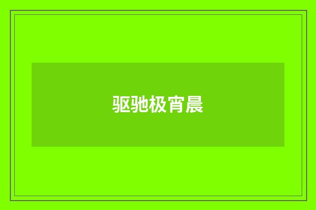 驱驰极宵晨