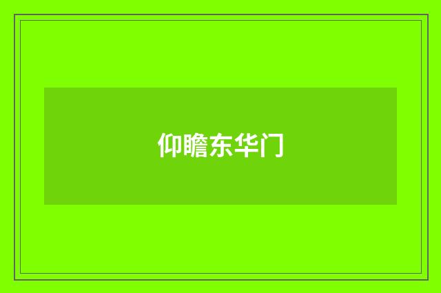 仰瞻东华门