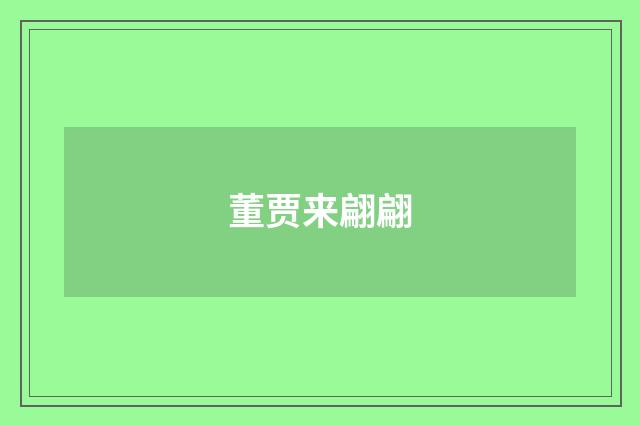 董贾来翩翩