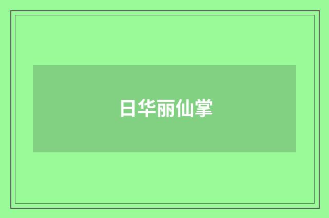 日华丽仙掌