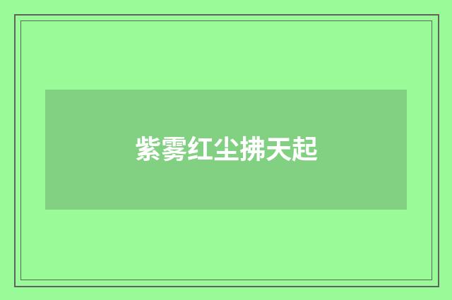 紫雾红尘拂天起
