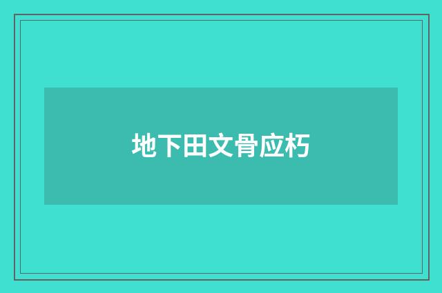地下田文骨应朽