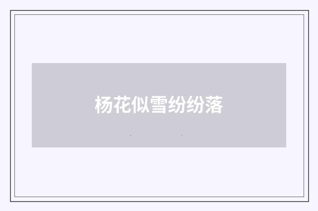 杨花似雪纷纷落