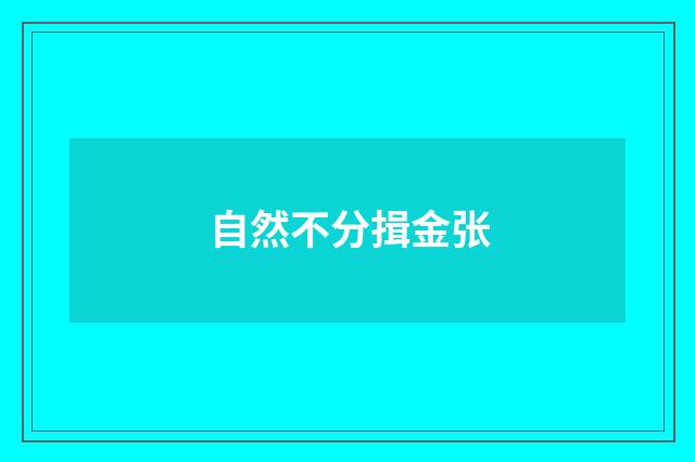 自然不分揖金张