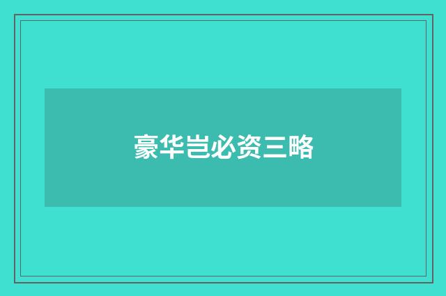 豪华岂必资三略