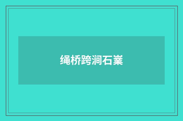 绳桥跨涧石嶪