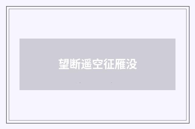 望断遥空征雁没