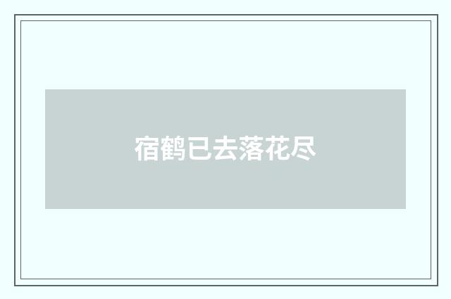 宿鹤已去落花尽