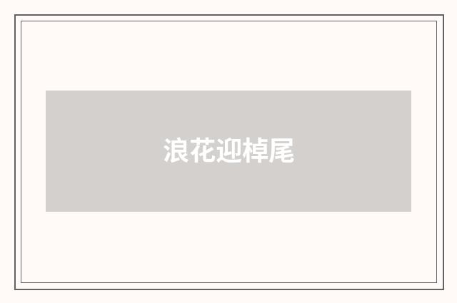 浪花迎棹尾