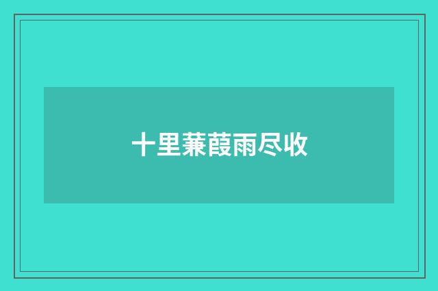 十里蒹葭雨尽收