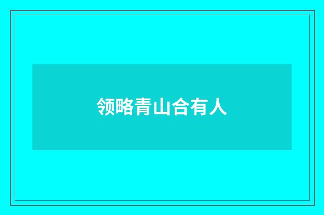 领略青山合有人
