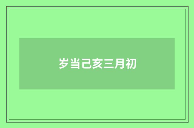 岁当己亥三月初