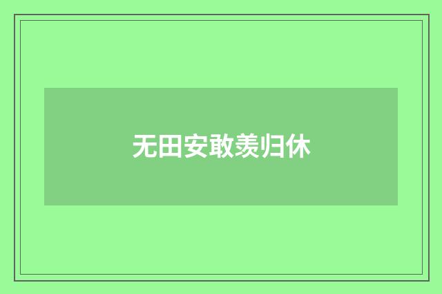 无田安敢羡归休