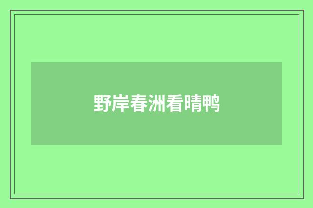 野岸春洲看晴鸭