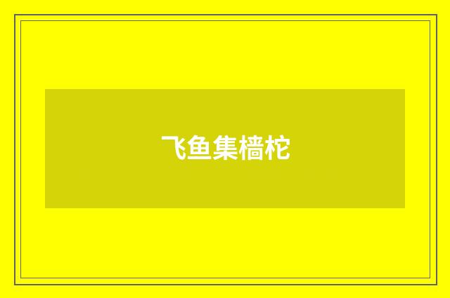 飞鱼集樯柁
