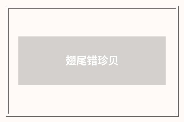 翅尾错珍贝
