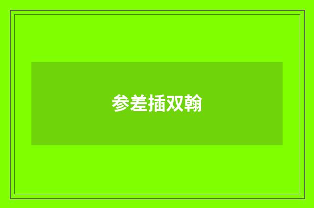 参差插双翰