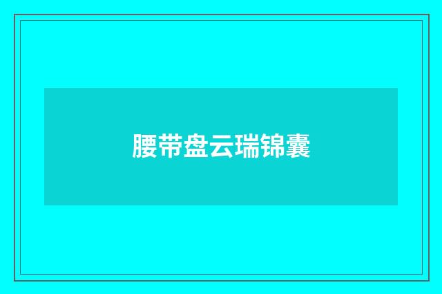 腰带盘云瑞锦囊