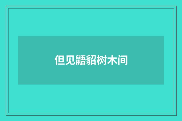 但见鼯貂树木间