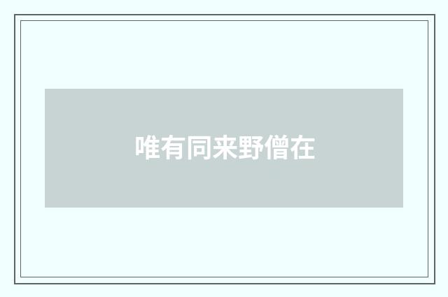 唯有同来野僧在