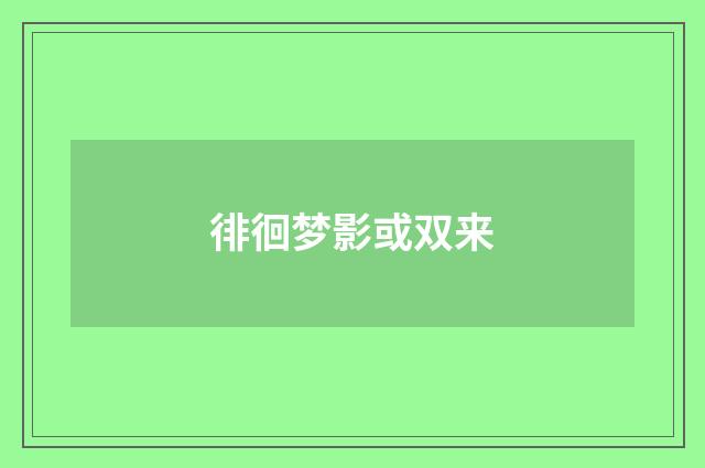 徘徊梦影或双来