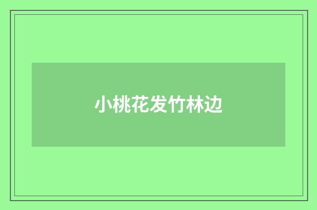 小桃花发竹林边