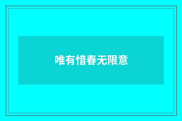 唯有惜春无限意