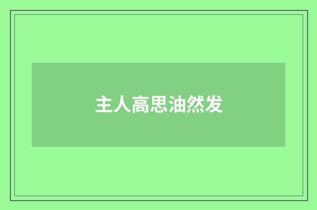 主人高思油然发