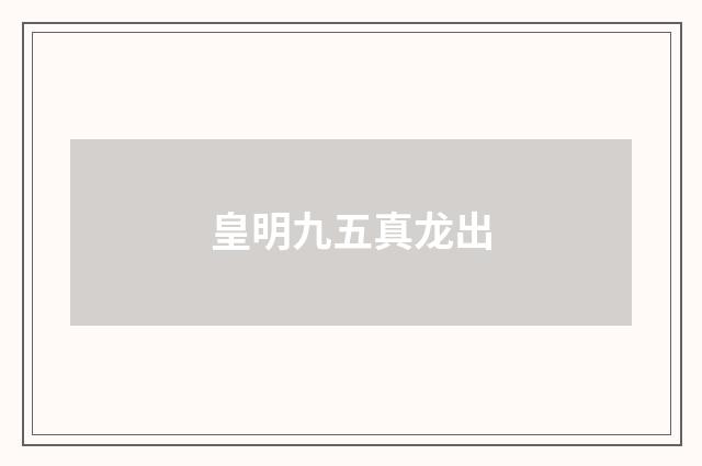 皇明九五真龙出