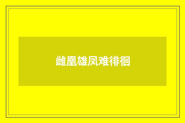 雌凰雄凤难徘徊