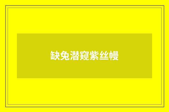 缺兔潜窥紫丝幔