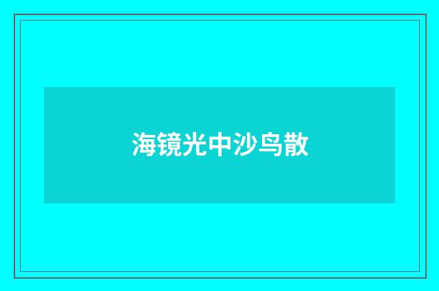 海镜光中沙鸟散