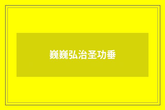 巍巍弘治圣功垂