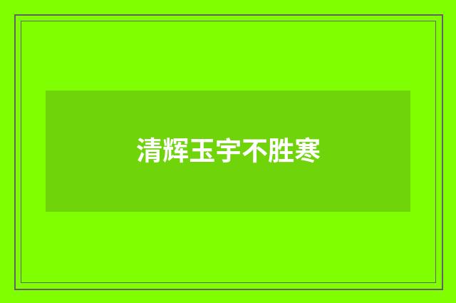 清辉玉宇不胜寒