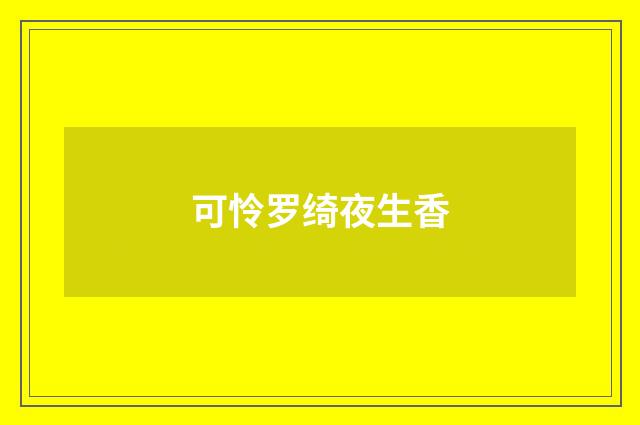 可怜罗绮夜生香